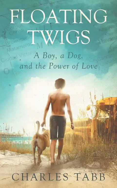 Cover of Floating Twigs