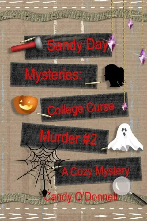 Cover of Sandy Day Mystery