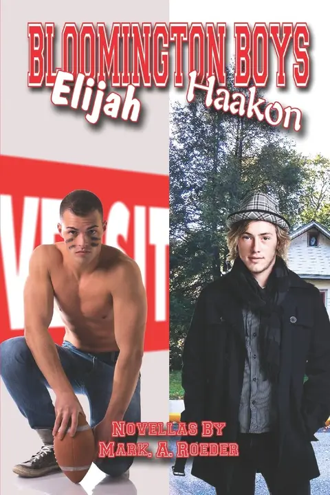 Cover of Bloomington Boys