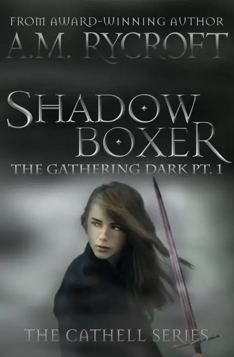 Cover of Shadowboxer