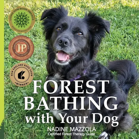 Cover of Forest Bathing with your Dog