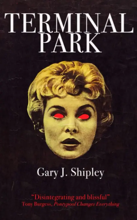 Cover of Terminal Park