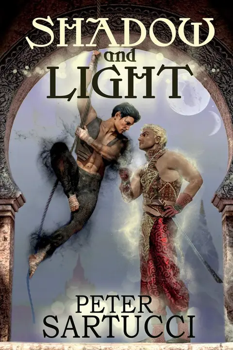Cover of Shadow and Light