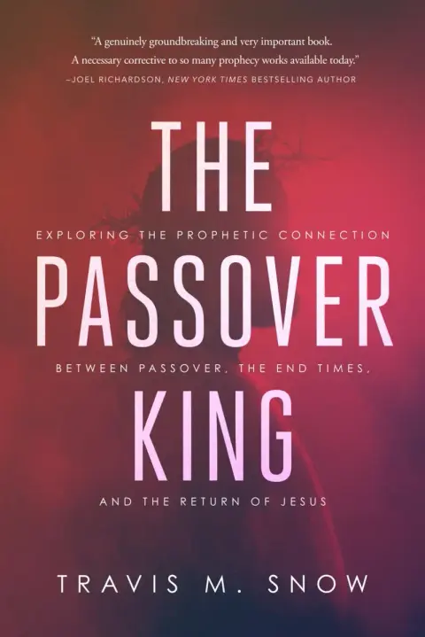 Cover of The Passover King