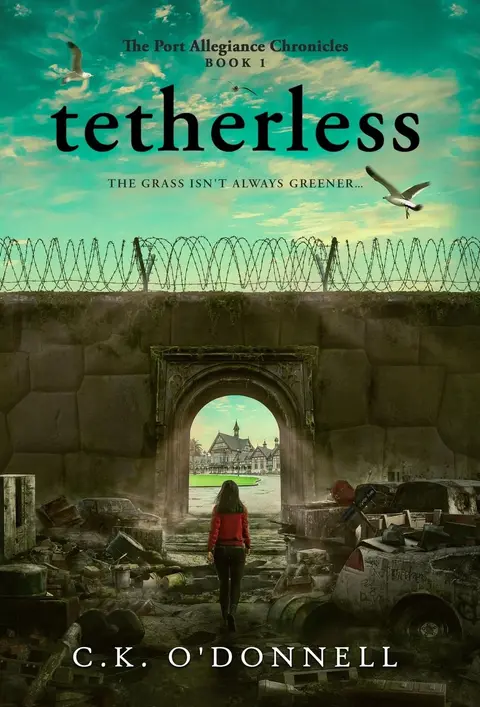 Cover of Tetherless