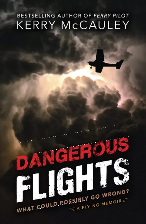 Cover of Dangerous Flights