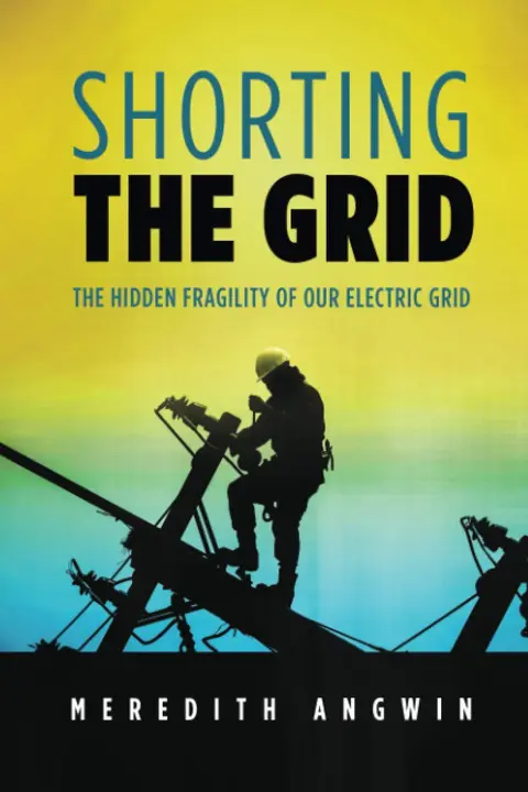 Cover of Shorting the Grid