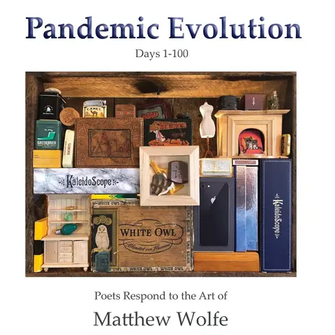 Cover of Pandemic Evolution