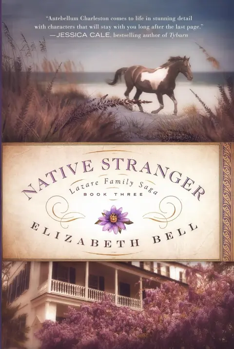 Cover of Native Stranger