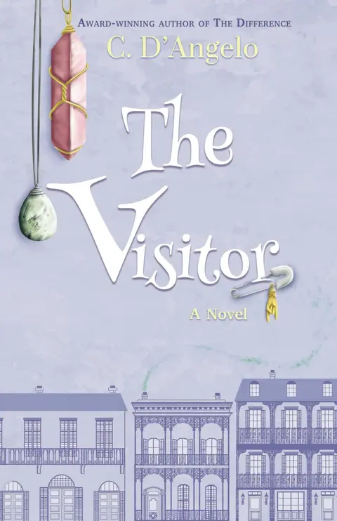Cover of The Visitor