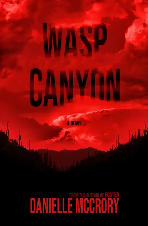 Cover of Wasp Canyon
