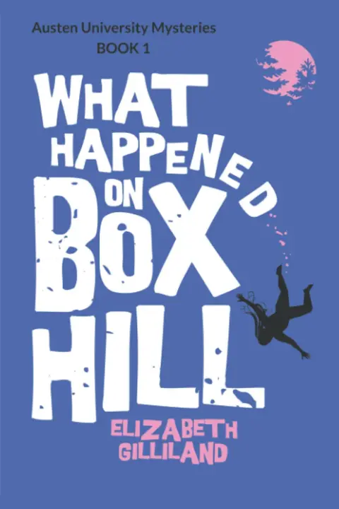 Cover of What Happened on Box Hill