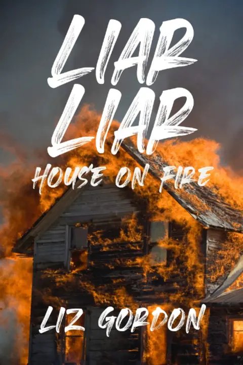 Cover of Liar Liar House on Fire