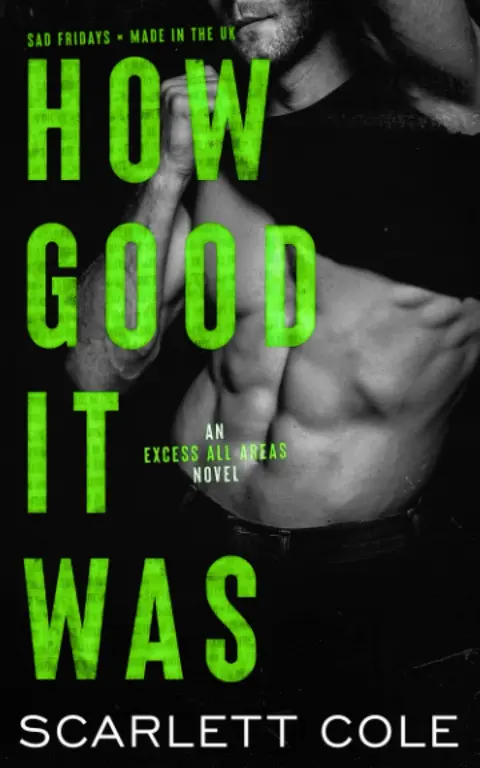 Cover of How Good It Was