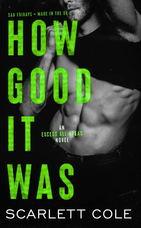 Cover of How Good It Was