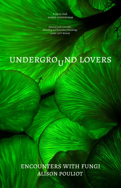 Cover of Underground Lovers