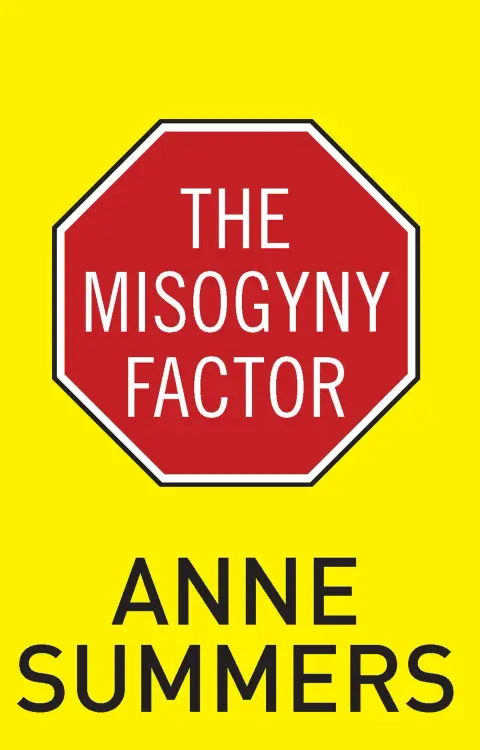 Cover of The Misogyny Factor