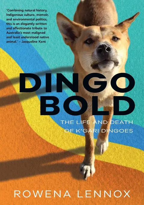 Cover of Dingo Bold