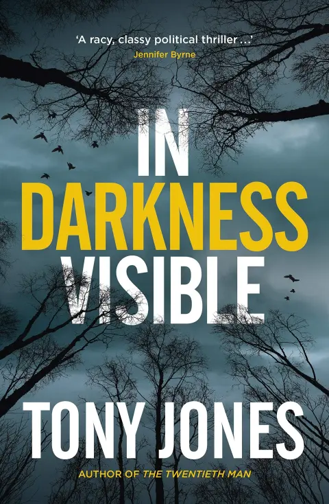 Cover of In Darkness Visible