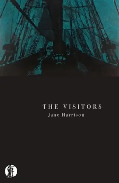 Cover of The Visitors