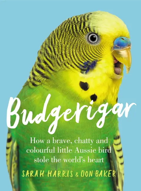 Cover of Budgerigar