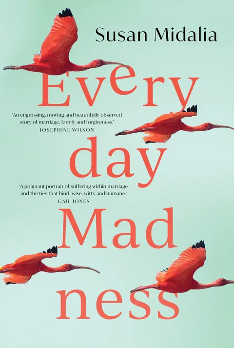 Cover of Everyday Madness