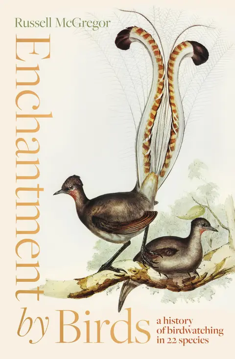 Cover of Enchantment by Birds