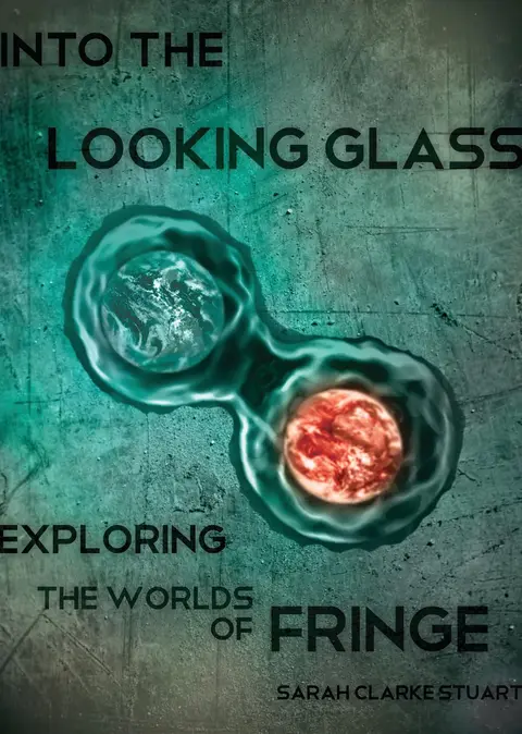 Cover of Into the Looking Glass