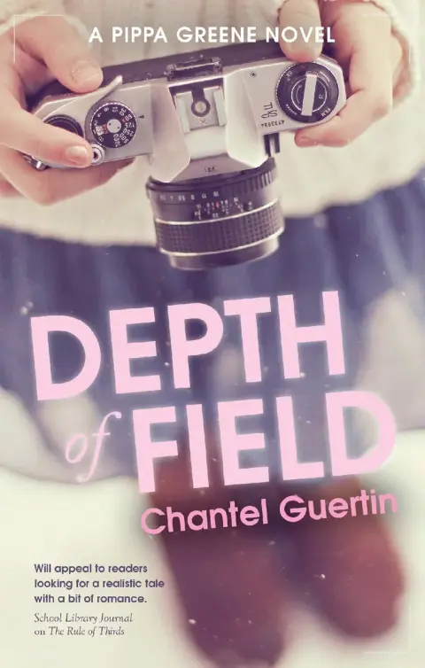 Cover of Depth of Field