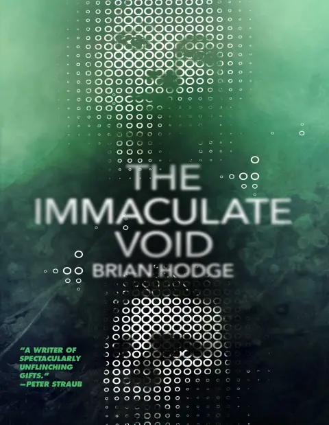 Cover of The Immaculate Void