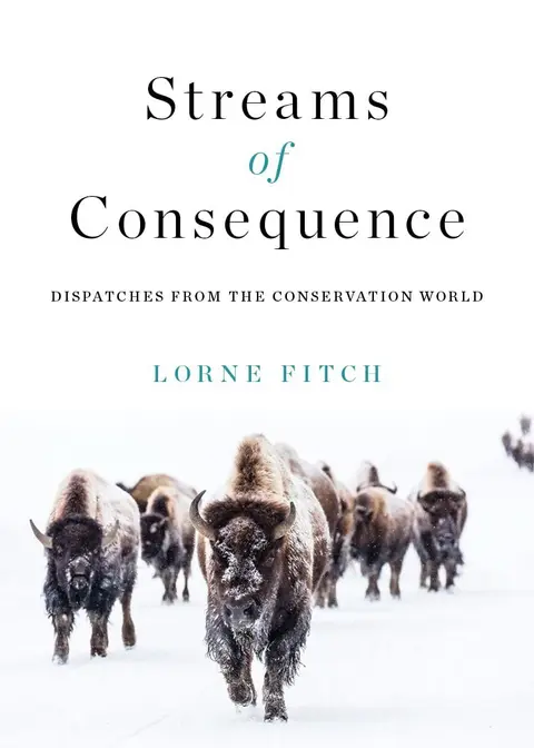 Cover of Streams of Consequence