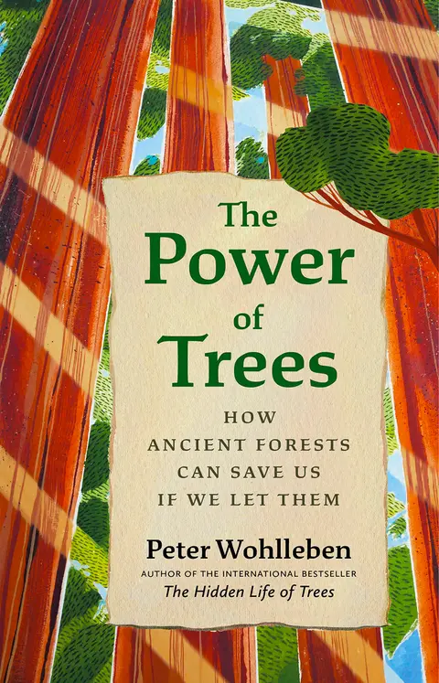 Cover of The Power of Trees