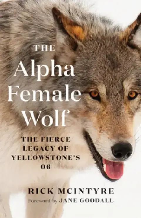 Cover of The Alpha Female Wolf
