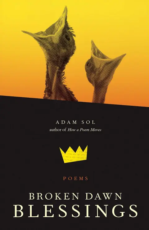Cover of Broken Dawn Blessings