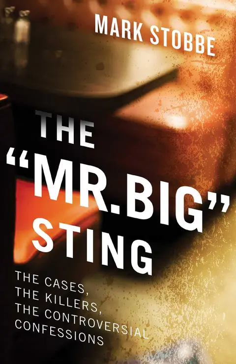 Cover of 'mr. Big' Sting