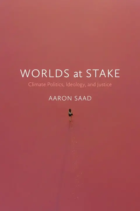Cover of Worlds at Stake