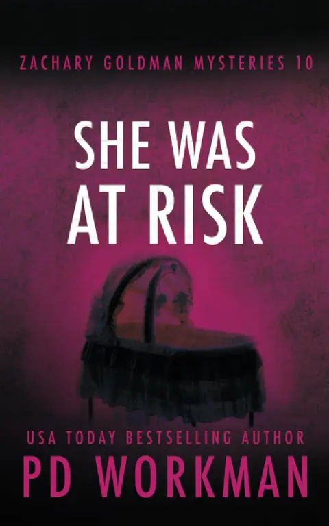 Cover of She Was at Risk
