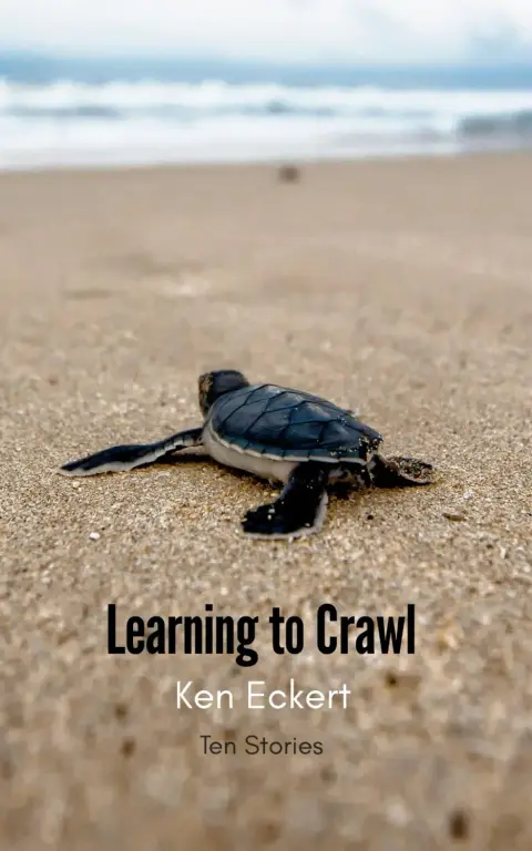 Cover of Learning to Crawl