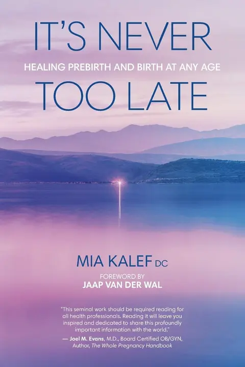 Cover of It's Never Too Late