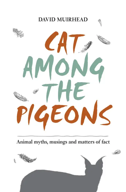 Cover of Cat Among the Pigeons