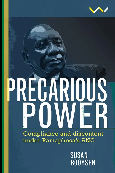 Cover of Precarious Power