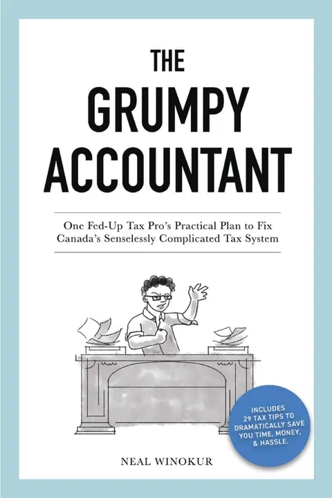 Cover of The Grumpy Accountant