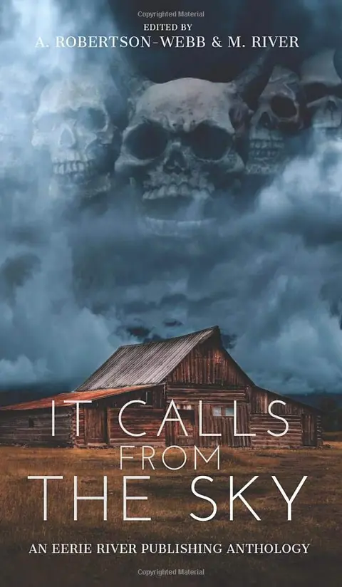 Cover of It Calls from the Sky