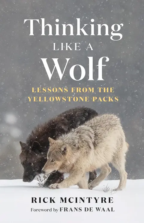 Cover of Thinking Like a Wolf