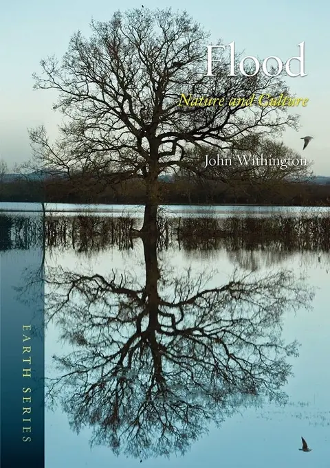 Cover of Flood