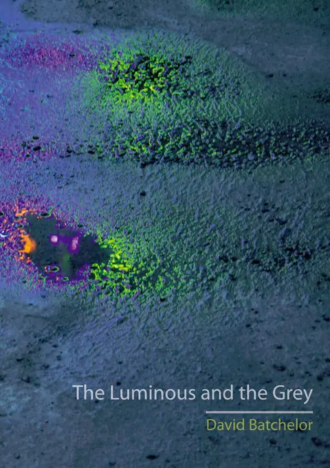 Cover of The Luminous and the Grey