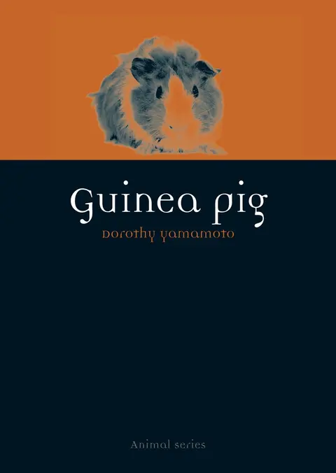 Cover of Guinea Pig