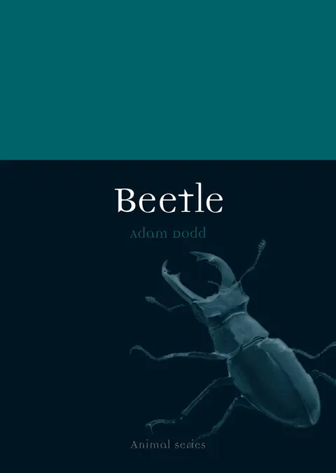 Cover of Beetle