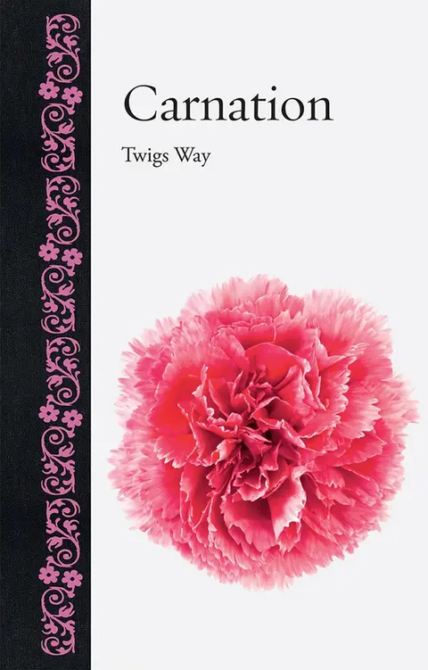 Cover of Carnation