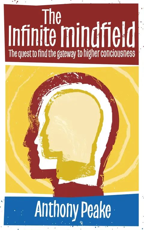 Cover of The Infinite Mindfield